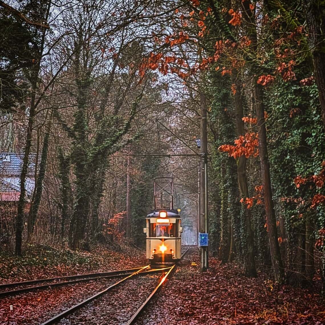 Strausberg im Herbst Strausberg im Herbst